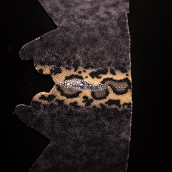 Meet your Posher, Grandad Sam - Picture 10 of 16